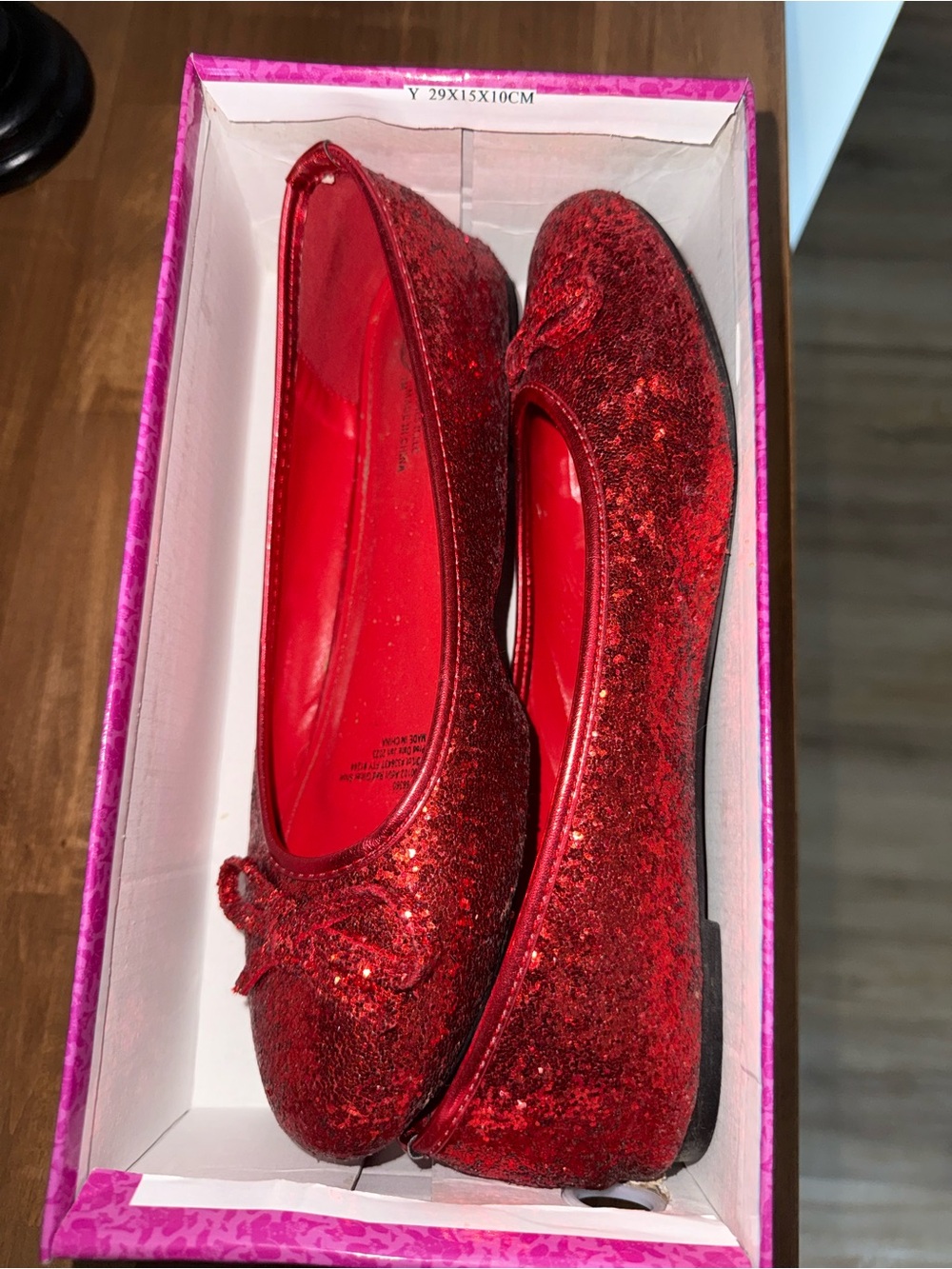 Wizard of Oz Ruby Slippers
